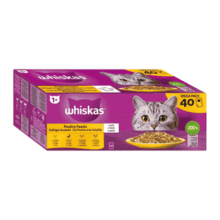 1+ Geflügel Auswahl in Gelée Mega-Pack 40x85g