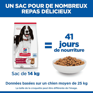 Canine Adult Medium Breed Lamb & Rice
