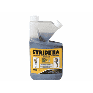 STRIDE HA