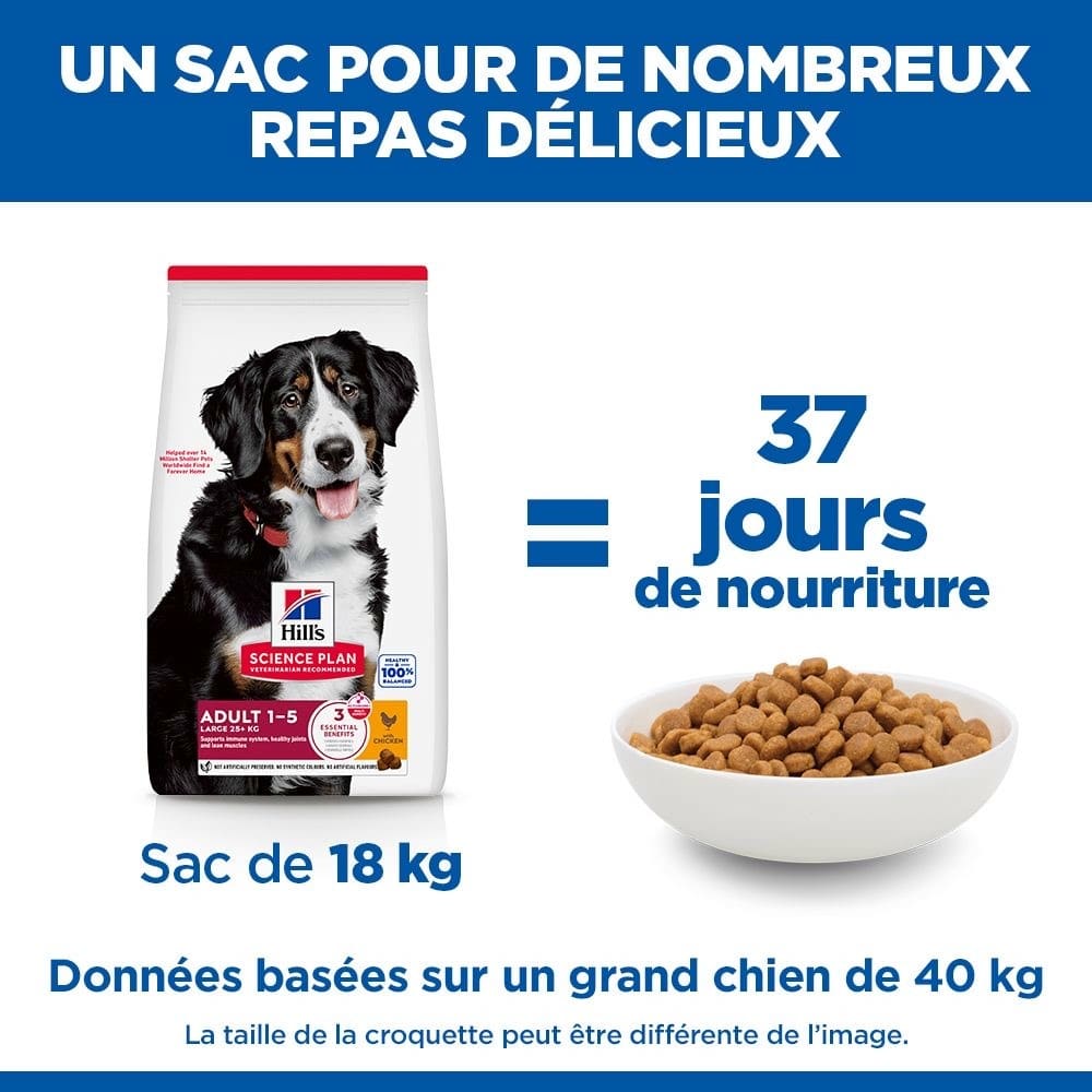 Canine Adult Large Breed Chicken