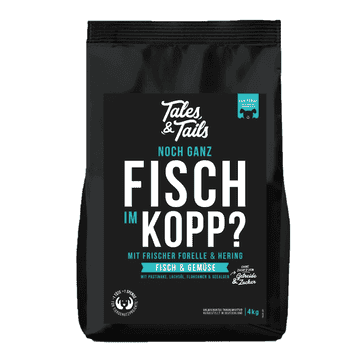 Noch ganz Fisch im Kopp?
