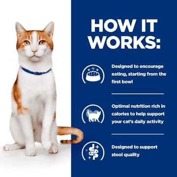Feline ON-CARE nourish &amp; support