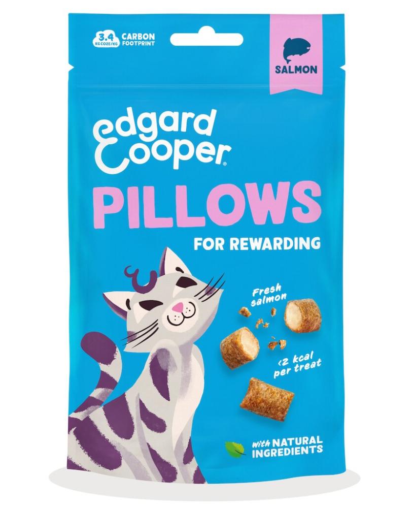Pillows au saumon