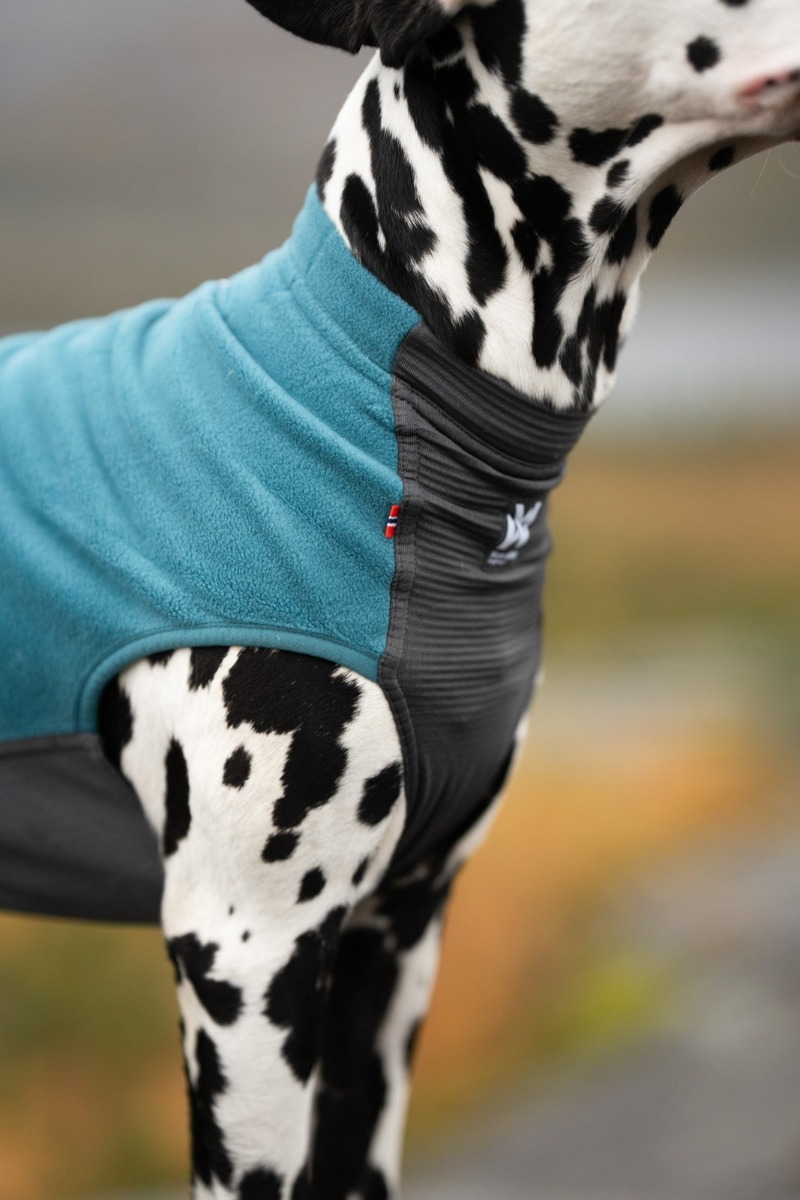 Pull en laine polaire Trail Quest Teal