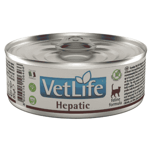 Feline Adult Hepatic