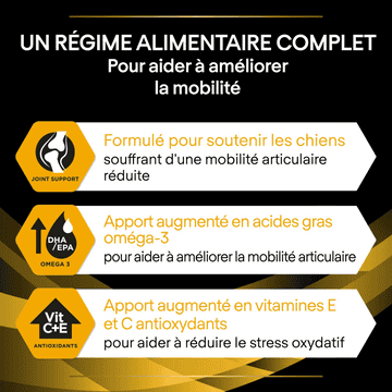 CANINE JM Joint Mobility