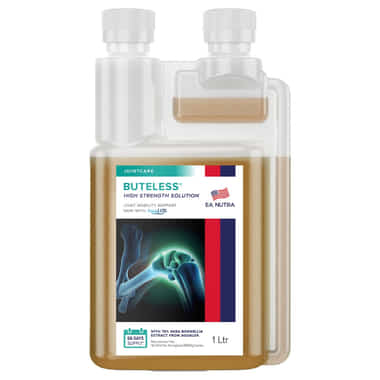 Buteless High Strengh Solution