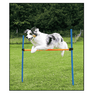 Agility Hürden Set