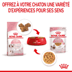 Kitten en gelée - sachet