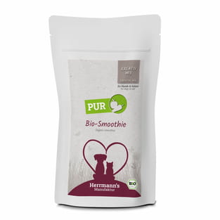 Kreativ-Mix Bio Smoothie