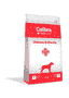 Canine Diabetes & Obesity