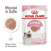 Kitten mousse in a fresh bag