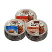 Carny Ocean Adult Cat