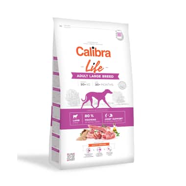Life Adult Large Breed Lamm & Reis
