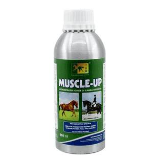 Muscle-Up