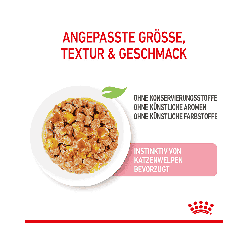 Kitten in Gelée - Frischebeutel
