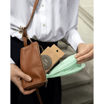 The Companion - Leather Dog Walking Pouch