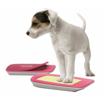 PawCare Container Small, 185g