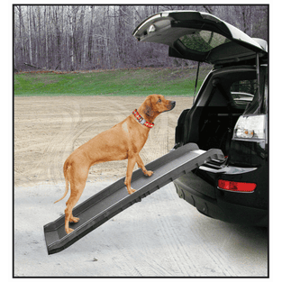 Rampe d’auto pour chiens Go In