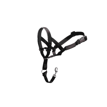 Headcollar, schwarz