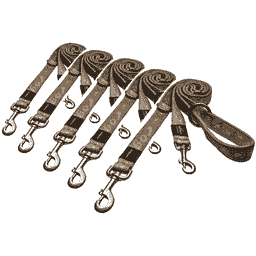 Laisse pour chien Alpinist or