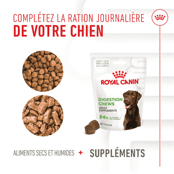 Digestion Chews Adult Supplements