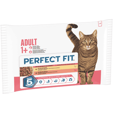 Adult 1+ Rind & Huhn