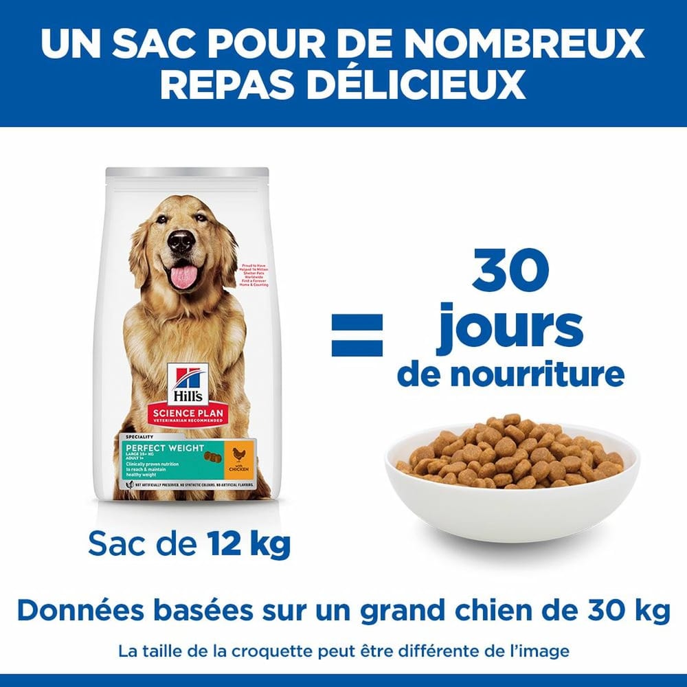 Canine Adult Perfect Weight Large Breed
