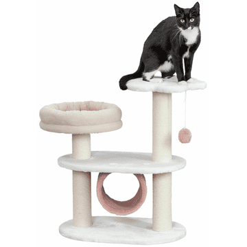 Isabella cat scratcher