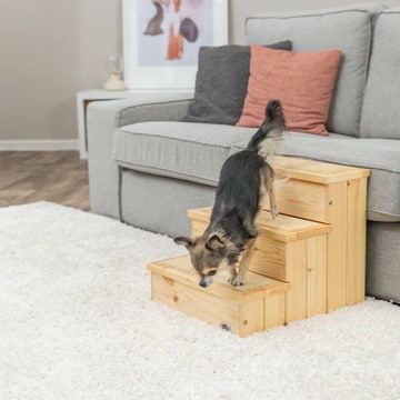 Holztreppe