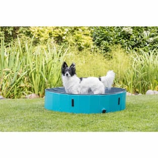 Hundepool