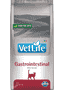 Feline Gastrointestinal