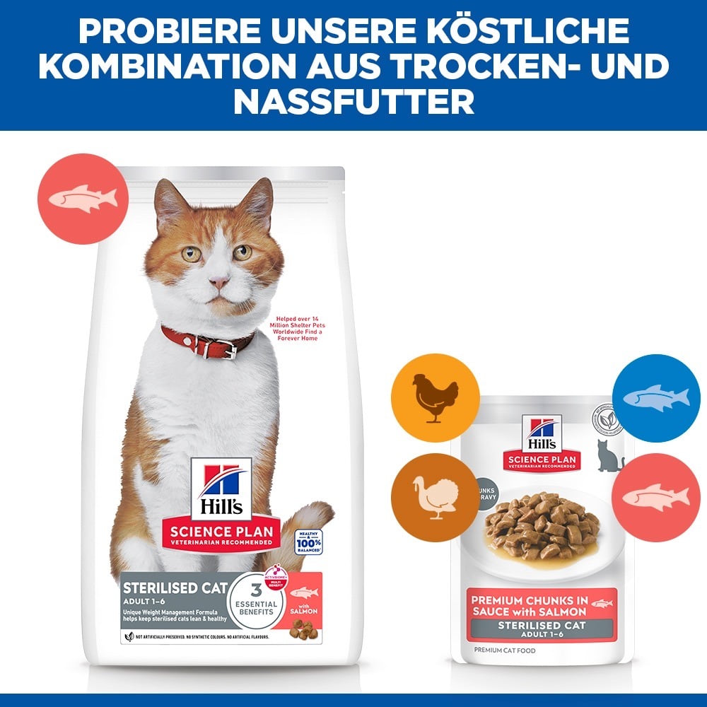 Feline Sterilised Cat Salmon - Frischebeutel