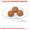X-Small Adult 8+