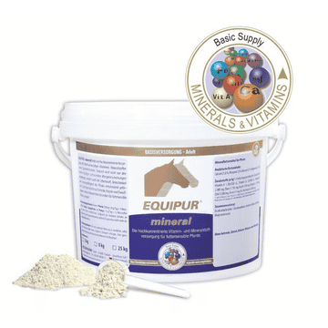mineral for horses