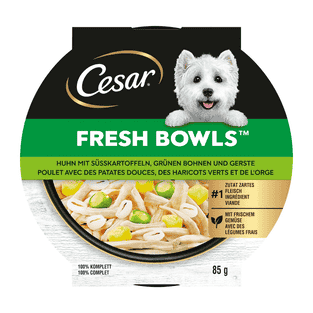 Fresh Bowls au poulet