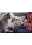 MOVOFLEX Soft Chews Chat
