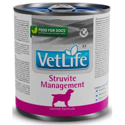 Canine Adult Gestion des Struvites