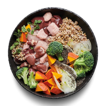 Adult duck with buckwheat
