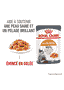 Hair & Skin Jelly - Sachet
