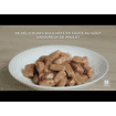 Feline Senior Vitality - Sachet