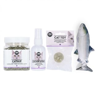 Set de jeu à la menthe à chat 2