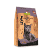 Katze - Symphonie No. 1 Thunfisch