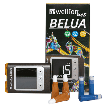 Belua