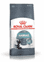 Hairball Care Cat