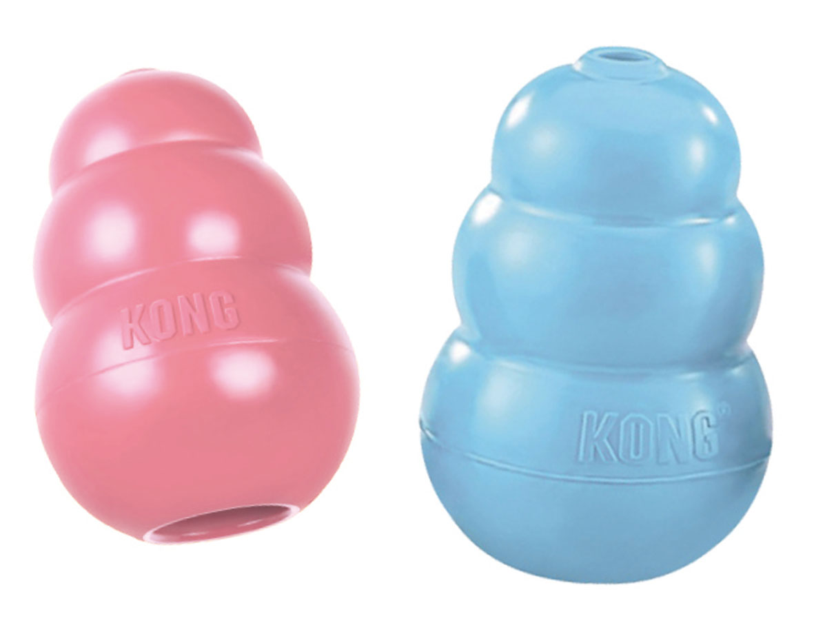 KONG Welpen Spielzeug
