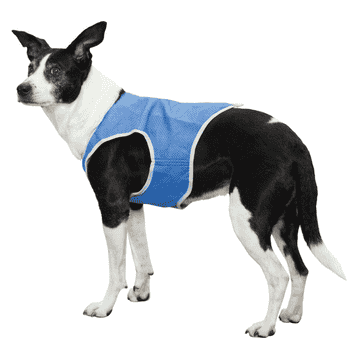 Gilet de refroidissement PVA