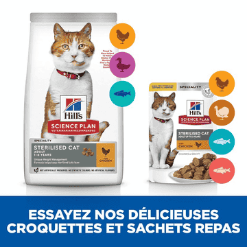 Feline Sterilised Cat Salmon - Sachet
