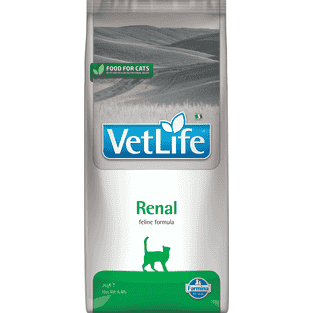 Feline Renal