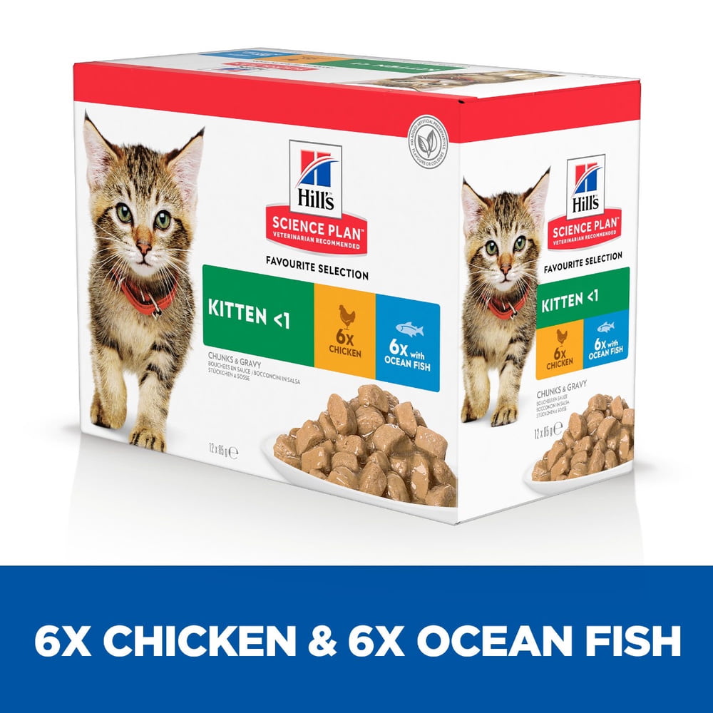 Kitten Favorite Selection - Fresh pouches